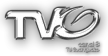 TV Guanajuato kanal logosu