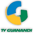 TV Guanandi kanal logosu