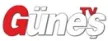 Senderlogo von TV Gunes