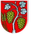 TV Komjatice kanal logosu