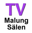TV Malung-Salen kanal logosu