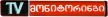 TV Monitoringi channel logo