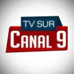 Senderlogo von TV Sur Canal 9