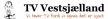 TV Vestsjaelland kanal loqosu