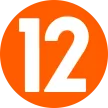 TV12 kanal logosu
