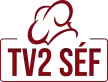 Senderlogo von TV2 Sef