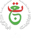 TV8 channel logo