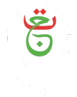 TV9 channel logo