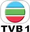 TVB1 kanal logosu