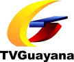 TVGuayana kanal logosu
