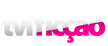 TVI Ficcao kanal loqosu