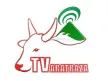 TVM Antsiranana kanal loqosu