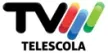 Senderlogo von TVM Telescola