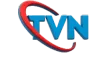 Senderlogo von TVN