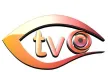 TVO Canal 43 kanal logosu