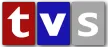 TVS Canal 13 kanal logosu