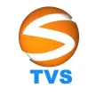 TVS Canal 42 kanal logosu