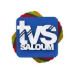 TVS Saloum kanal logosu