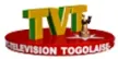 TVT International channel logo