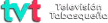 TVT kanal logosu