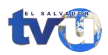 TVU kanal loqosu