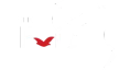 Universal Living Faith Network kanal logosu