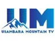 Usambara Mountain TV kanal logosu