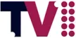 V1 kanal logosu