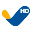 Vallevision kanal logosu