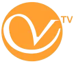 Viboral Television kanal logosu