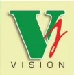 Vision channel logo