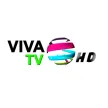 Viva TV Canal 45 kanal logosu