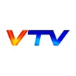 VTV Mendoza kanal logosu