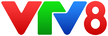 VTV8 kanal loqosu