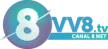 VV8 TV kanal logosu