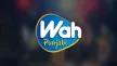 Senderlogo von Wah Punjabi