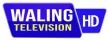 Waling Television kanal logosu