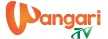 Senderlogo von Wangari TV