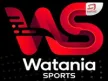 Watania Sports channel logo