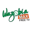 Wazobia Max TV Port-Harcourt channel logo
