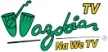 Wazobia TV kanal logosu