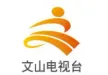Wenshan News Channel kanal logosu