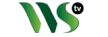 Western Spring TV kanal logosu
