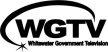 WGTV kanal logosu