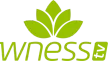 Senderlogo von Wness TV