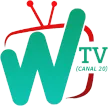 WTV Canal 20 kanal logosu