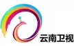 Yunnan Satellite TV kanal logosu