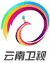 Yunnan TV 1 kanal logosu
