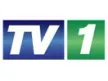 ZNBC TV 1 kanal loqosu