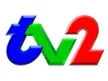 ZNBC TV 2 kanal loqosu